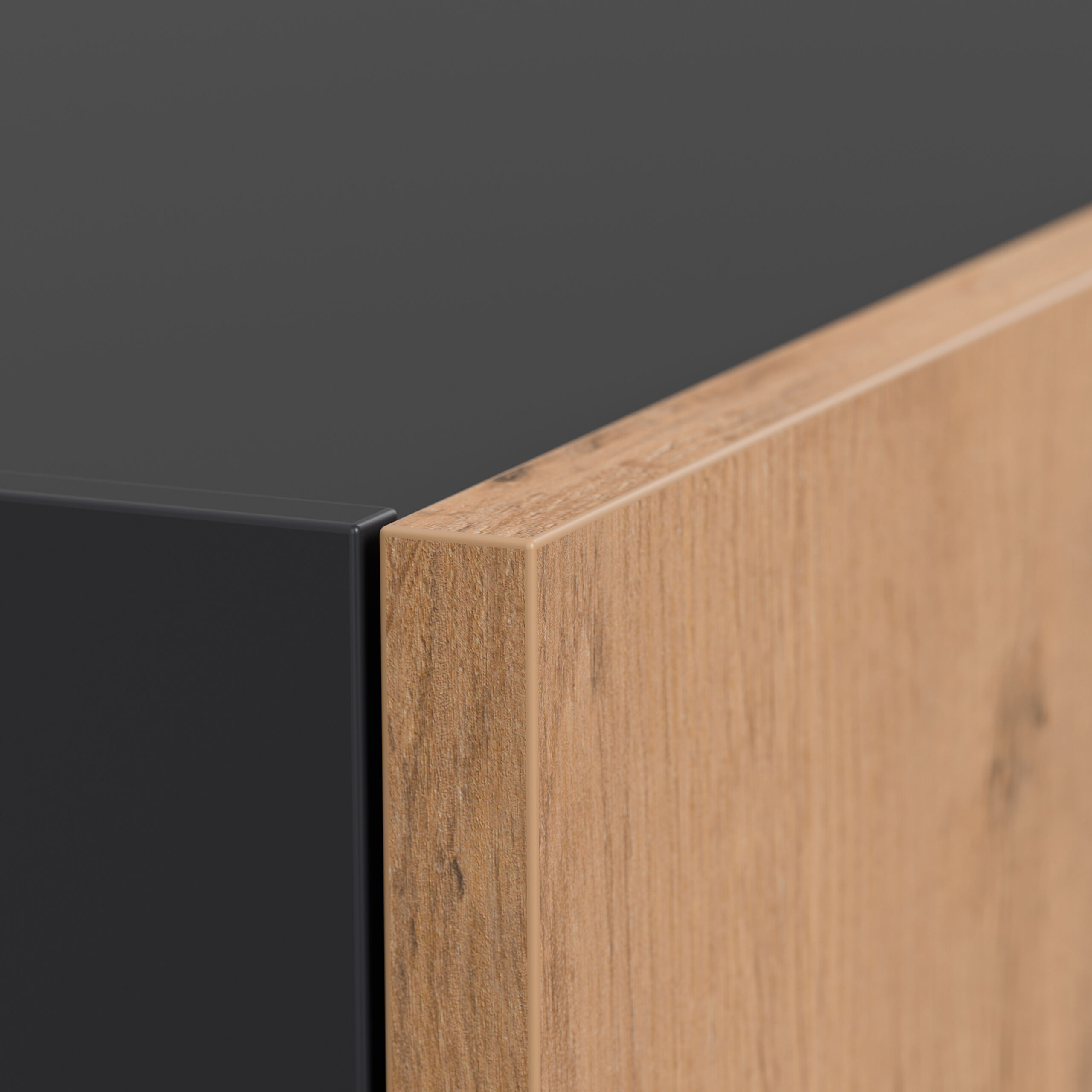 Sideboard Schuhschrank Alius-M 2 Türen Asche