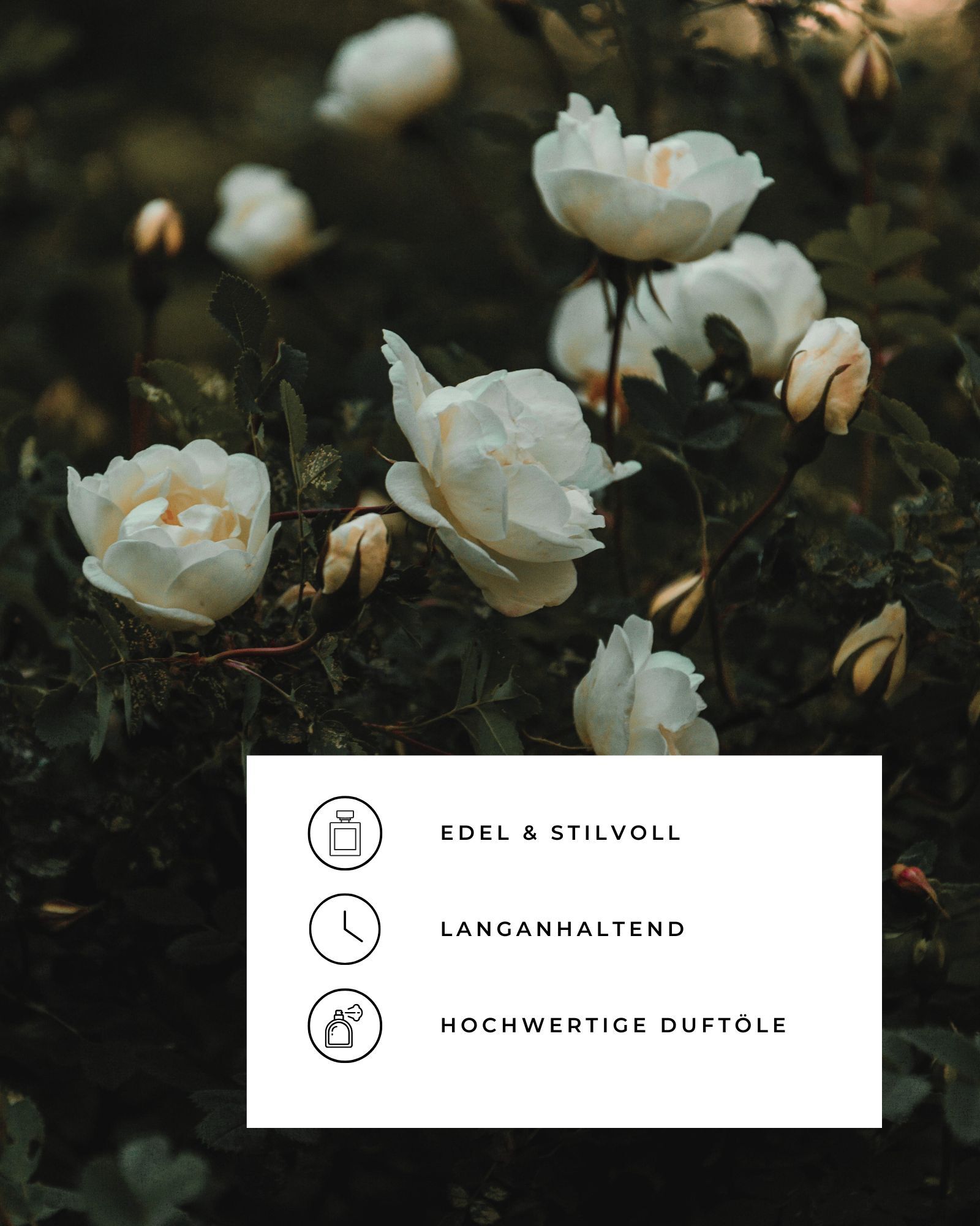 Raumduft Secret Garden 50ml