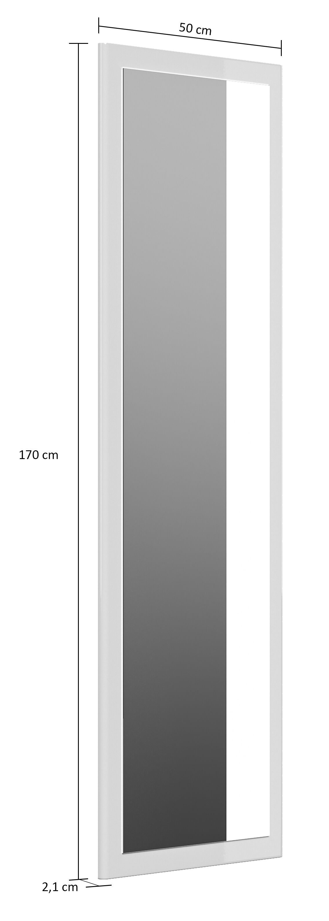 Spiegel Emotion farbig eingerahmt 50x170 cm Brombeer